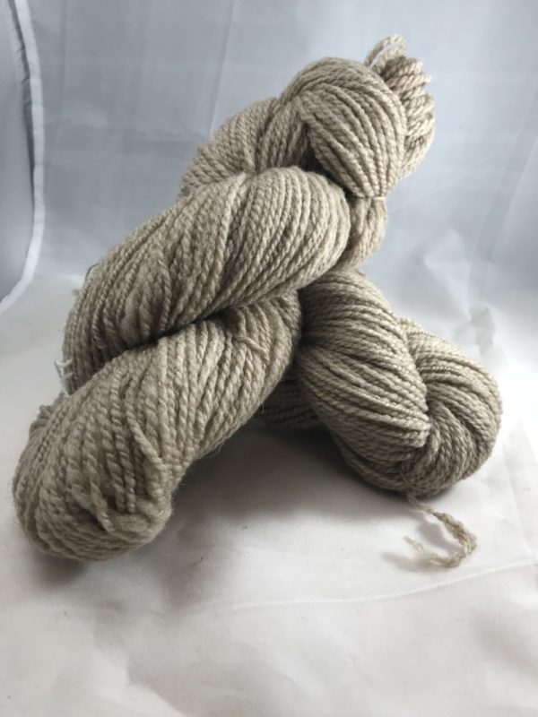 Iowa Shetland Sheep Wool