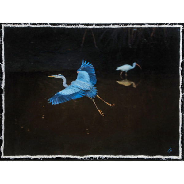 Blue Heron 18×24 custom canvas wrap