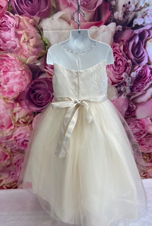 Champagne Flower Girl Dress with Tulle skirt 5712