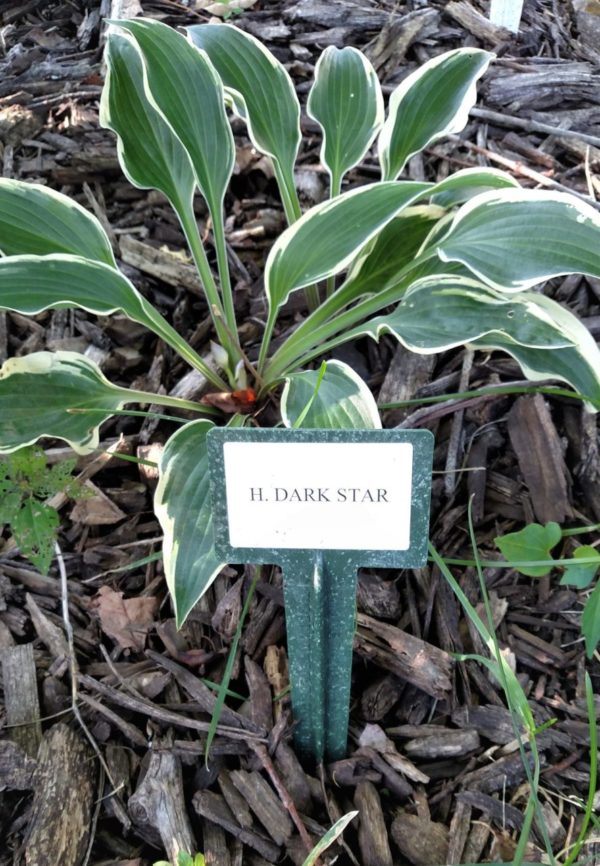 9″ BioMarkers Plant Label Garden Stakes