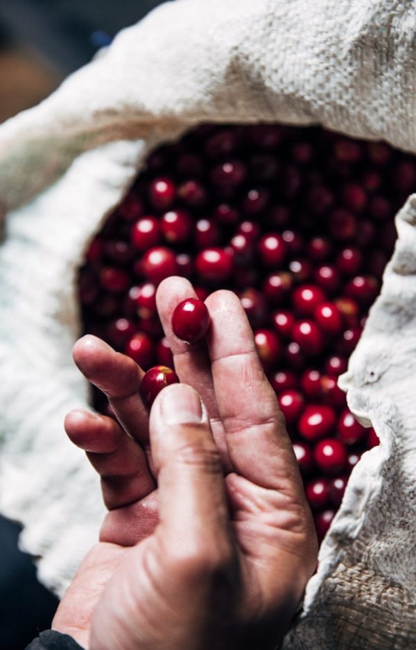 African Kahawa Blend –  Fair Trade Organic