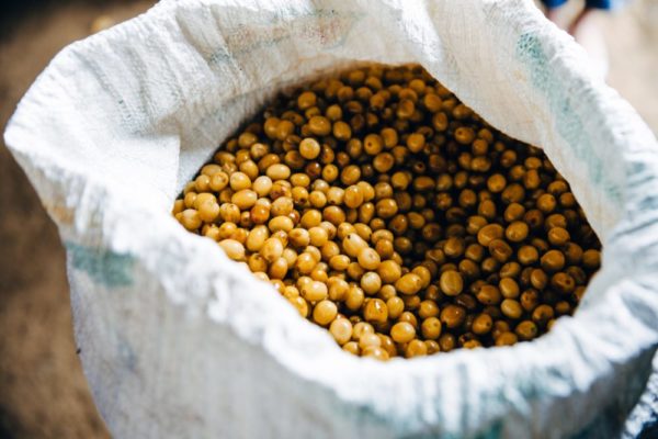 Asian Plateau Blend –  Fair Trade Organic