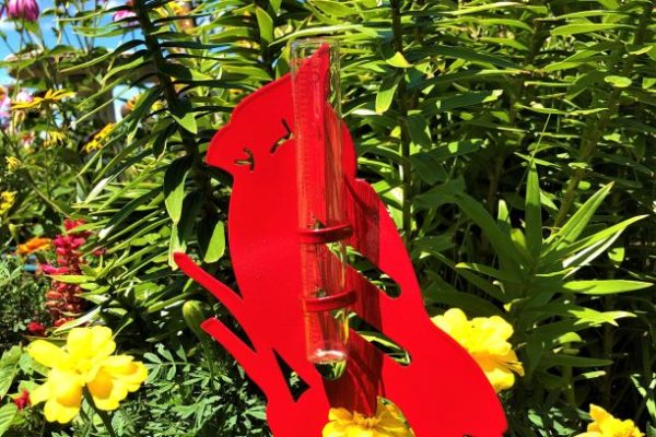 Cardinal Rain Gauge