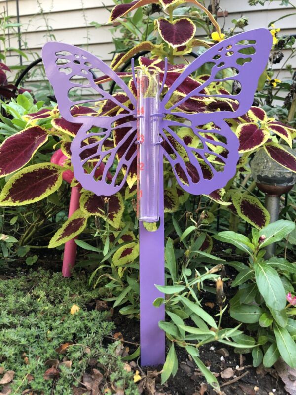 Butterfly Rain Gauge