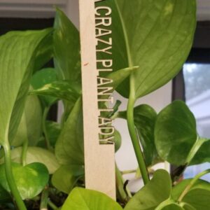Sarcastic plant stakes pick style – adult humor