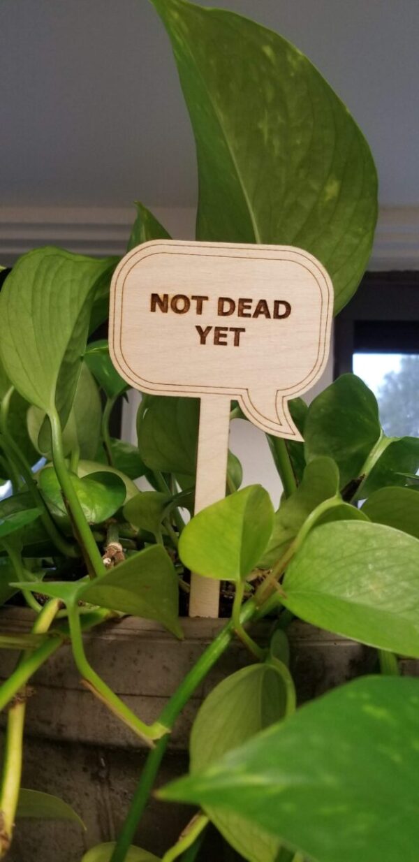 Sarcastic plant stakes conversation bubble style – adult humor