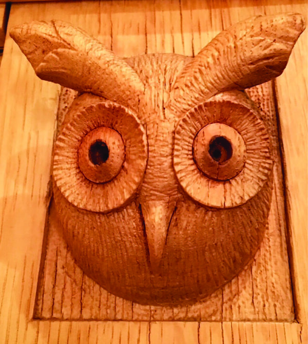 Owl’s Head: A Hidden Gem Hardcover Book