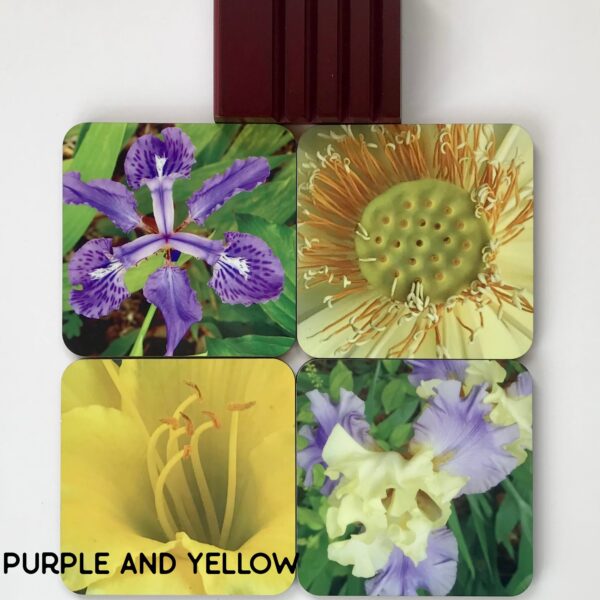 Flower Garden Coaster Set (4) with Wooden Holder