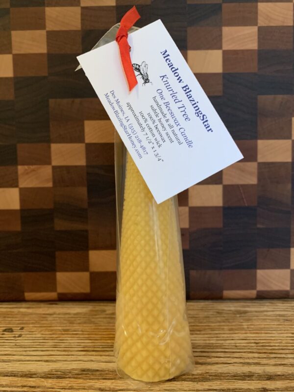 Beeswax Candle – Knurled Tree-Shaped Cone