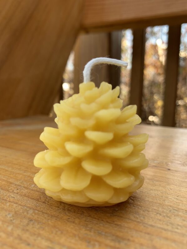 Beeswax Candle – Pine Cone Votives {four}