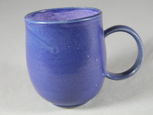 Evansdale Mug (Purple)