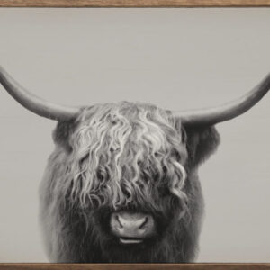Highland Bull – Kendrick Home Wood Sign
