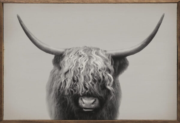Highland Bull – Kendrick Home Wood Sign