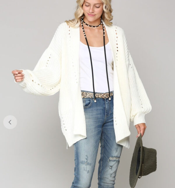 Chunky Knit Cardigan (More Colors)