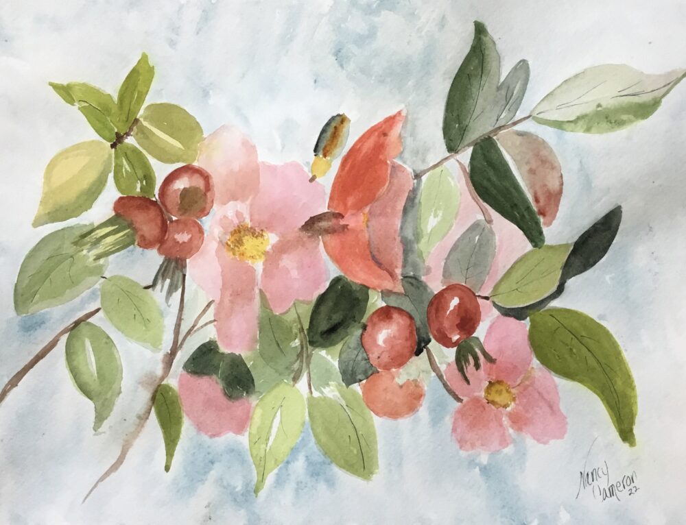 watercolor apple blossom
