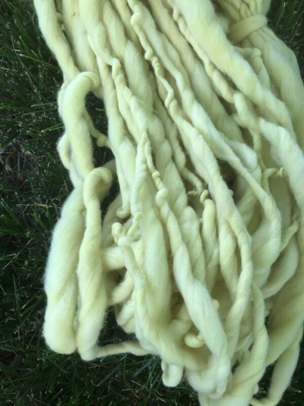 Catnip dyed merino, yellow handspun luxury yarn, 50 yards