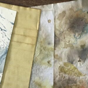 Naturally dyed papers, 8 pack, 8.5×11 size