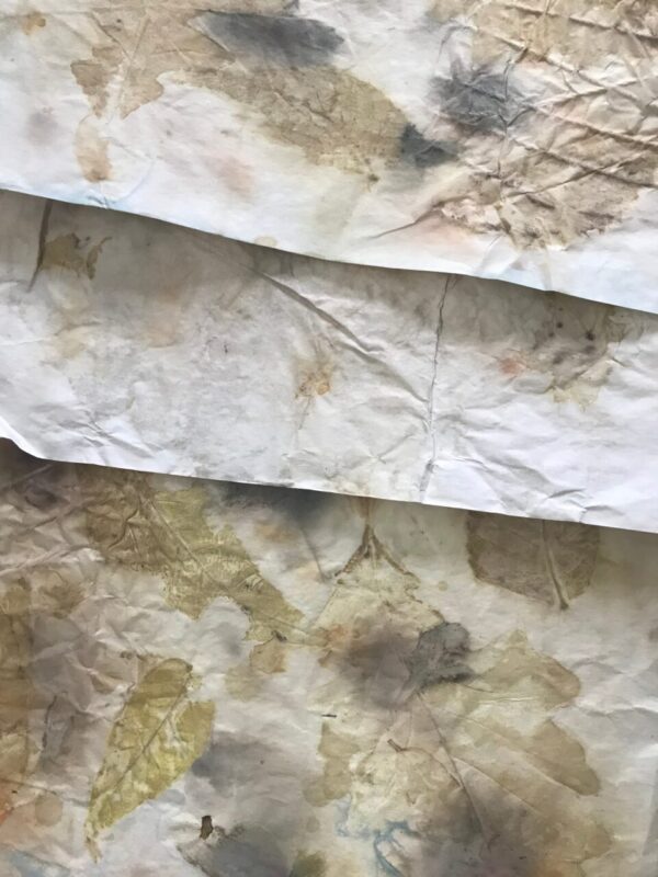 Naturally dyed papers, 8 pack, 8.5×11 size