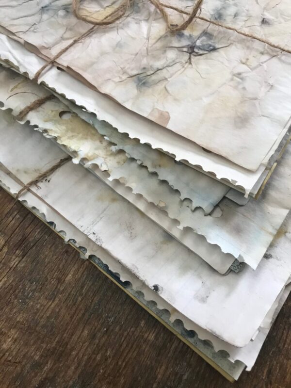 Naturally dyed papers, 8 pack, 8.5×11 size