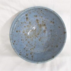 Medium Blue Bowl #5 by Artist Terry Ferris