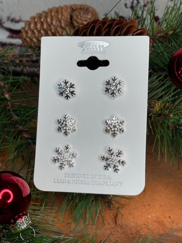 Silver Snowflake Earring Set