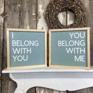 I belong with you/You belong with me