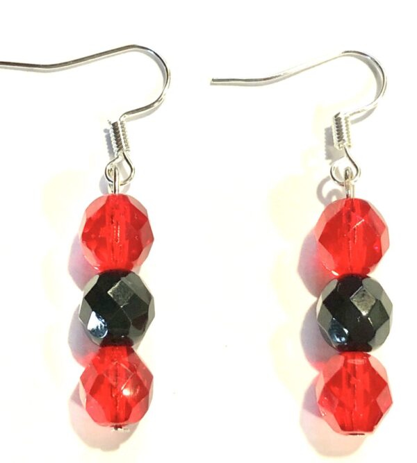 Handmade Red & Black Earrings
