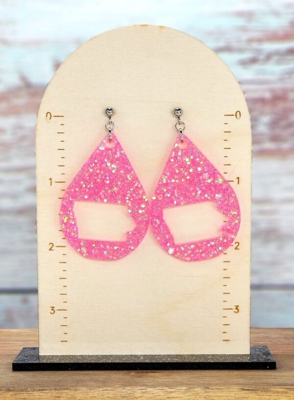 Pink Glitter Iowa Earrings