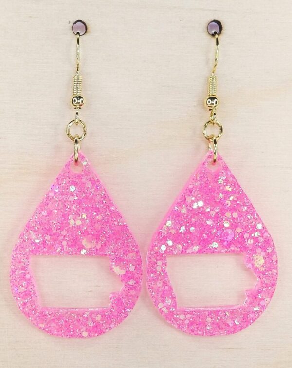 Smaller Pink Iowa Earrings