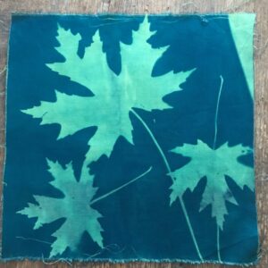 Maple Leaves – Cyanotype printed cotton fabric squares