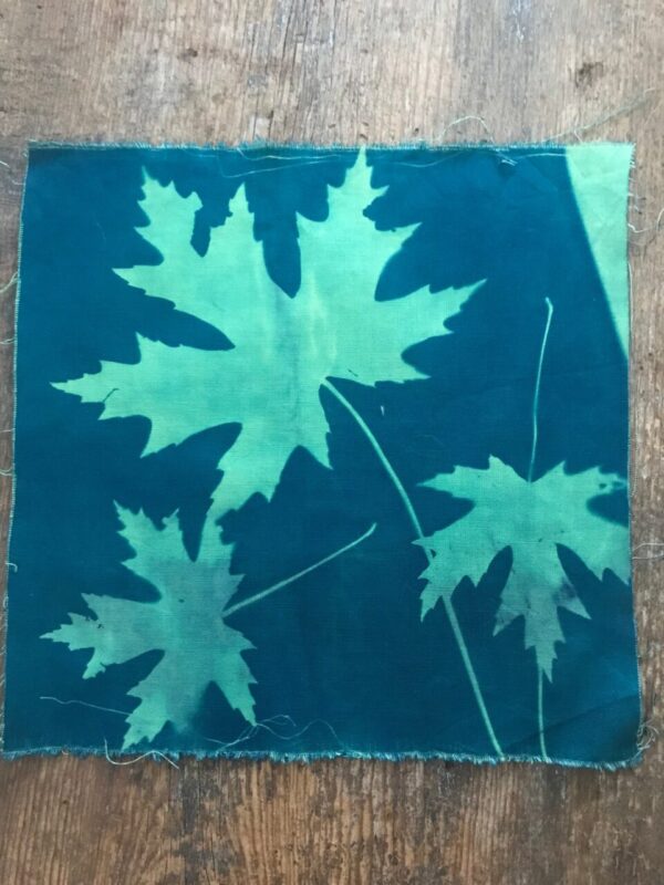 Maple Leaves – Cyanotype Printed Cotton Fabric Squares