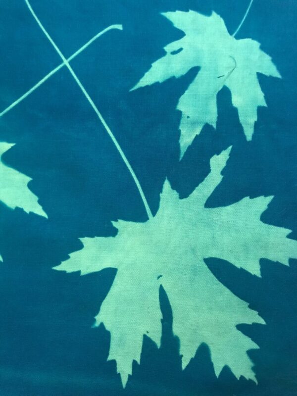 Maple Leaves – Cyanotype printed cotton fabric squares