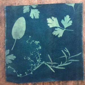 Scarborough Fair – Cyanotype Printed Cotton Fabric Squares