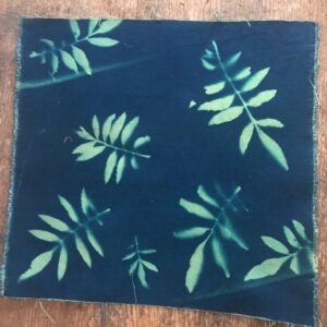 Marigold Leaves – Cyanotype printed cotton fabric squares