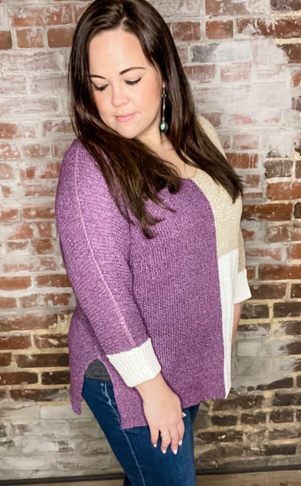 Stand Your Ground Sweater-CURVY