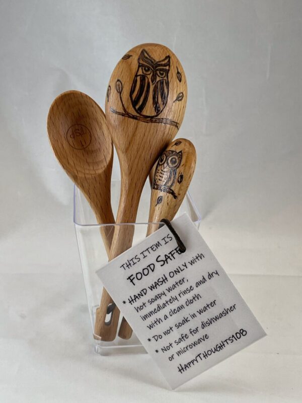 Mandala Owls Wood Burned Measuring Spoon Set