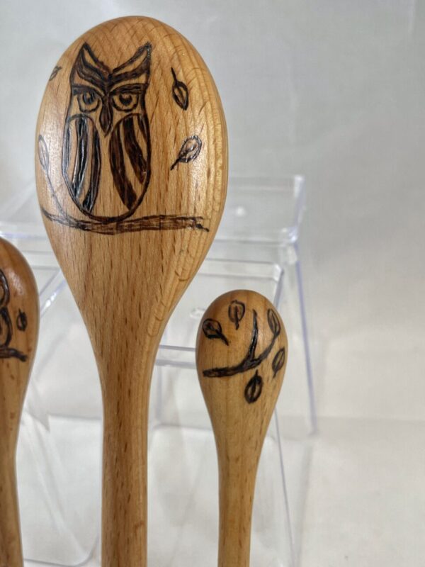 Mandala Owls Wood Burned Measuring Spoon Set