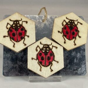 Ladybug Hexagon Wood Burned Magnets, set of 3
