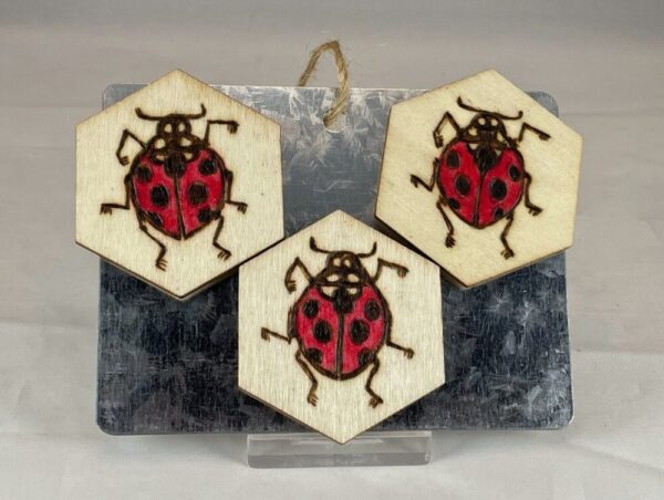 Ladybug Hexagon Wood Burned Magnets, set of 3