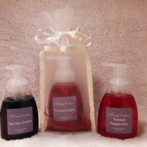 Gift bag 2 Hand foaming soaps