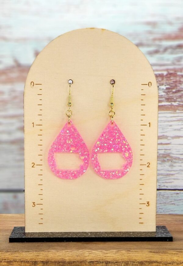 Pink Glitter Iowa Earrings
