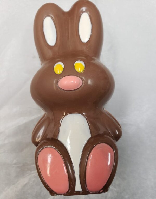 Premium Chocolate Easter Bunny – Hollow