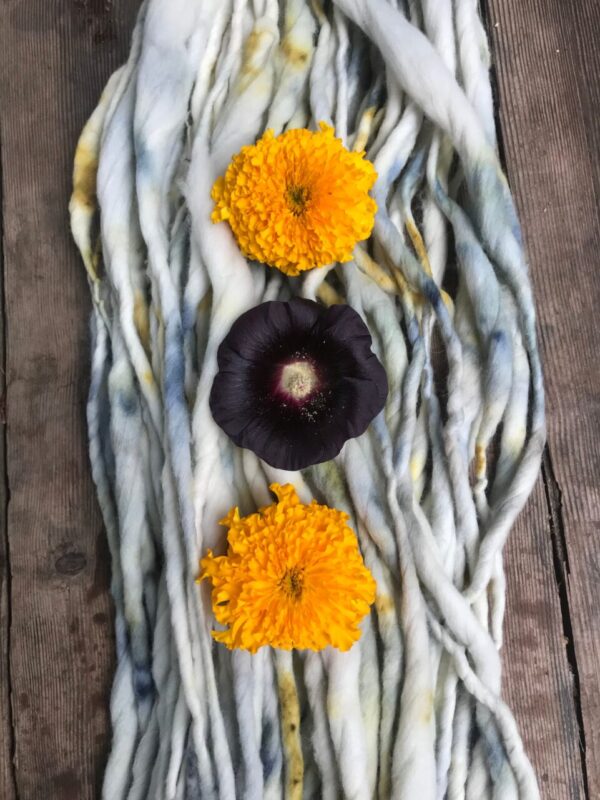 Black Hollyhock and Marigold dyed merino, handspun luxury yarn, 50 yard