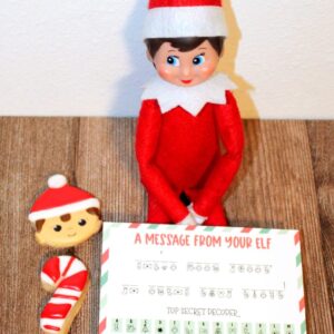 Top Secret Elf Decoder and 2 Mini Cookies Set