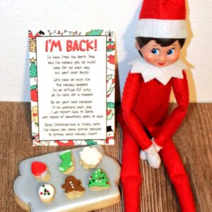 I’m Back! Elf Postcard and Tiny Cookie Set