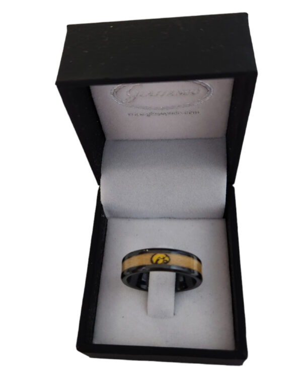 University of Iowa Hawkeye ring –officially licensed, size 9