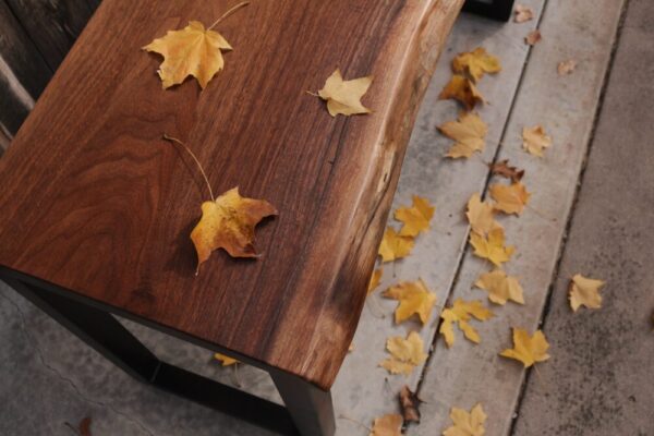 Live Edge Walnut & Metal Desk (in stock)