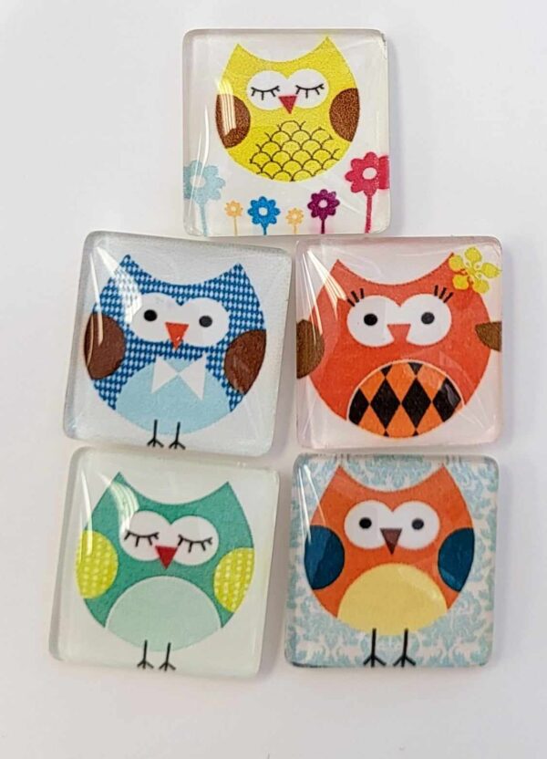 Small Owl Magnets- Set of 5