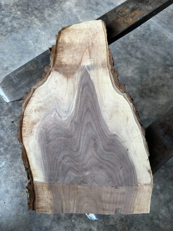 Black Walnut #1331 slab, live edge slab, unfinished