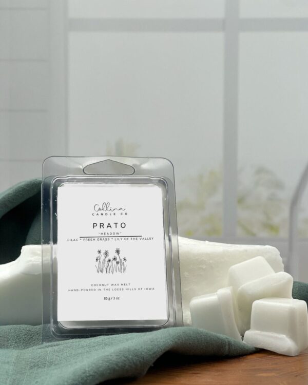 Prato Wax Melt